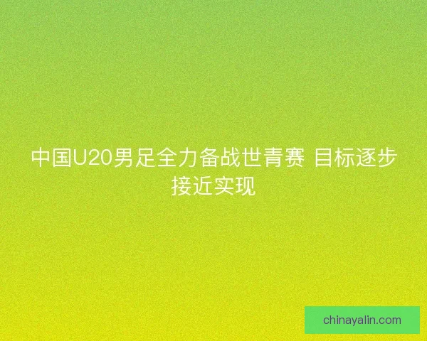 中国U20男足全力备战世青赛 目标逐步接近实现
